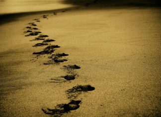 Tanie linie lotnicze Tanie linie lotnicze