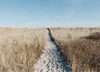 Nowoczesne tanie bilety lotnicze Nowoczesne tanie bilety lotnicze