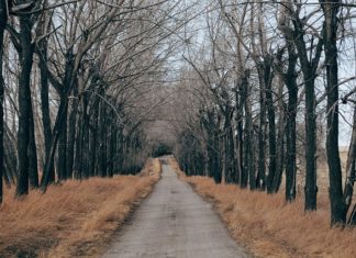Czy w sezonie letnim jest drożej w górach, czy nad morzem Czy w sezonie letnim jest drożej w górach, czy nad morzem