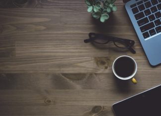 Jak sadzić tuje? Jak sadzić tuje?