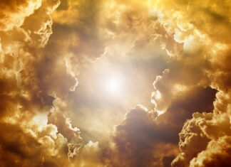 Jaki kształt frez do skórek?