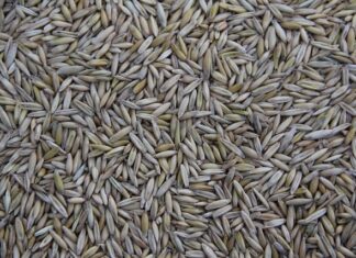 Kto produkuje Chevroleta Captiva?