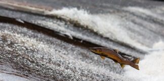 Czy auto na prąd się opłaca?