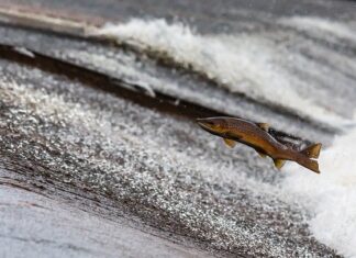 Czy auto na prąd się opłaca?