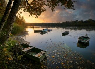 Ile litrów ma zbiornik Ford Transit? Ile litrów ma zbiornik Ford Transit?