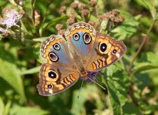 Na jakim kolorze nie widać nierówności? Na jakim kolorze nie widać nierówności?