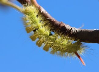 Co oznacza 0 na prostowniku?