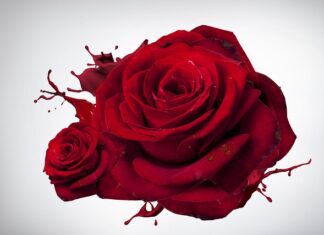 Czy fototapeta jest samoprzylepna? Czy fototapeta jest samoprzylepna?