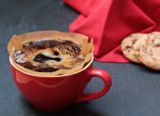 Jaki filtr przeciwzakłóceniowy do kamery cofania?