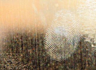 Jaki smar do Kalamitek?