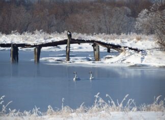 Jaki przekrój przewodu do jakiej mocy? Jaki przekrój przewodu do jakiej mocy?