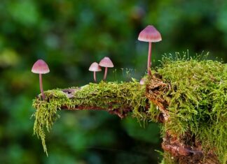 Jakie są rodzaje obróbki skrawaniem?