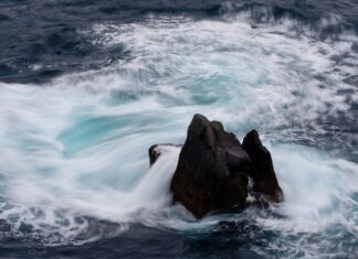 Jaka jest cena jajek z wolnego wybiegu? Jaka jest cena jajek z wolnego wybiegu?