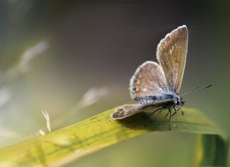 Jak się nazywa miedź z kabli? Jak się nazywa miedź z kabli?