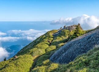 Jaka jest różnica między krzesłem a fotelem?