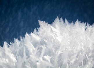 Ile kosztuje 1kg lodu? Ile kosztuje 1kg lodu?