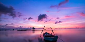 Jaki kolor fugi wybrać do płytek?