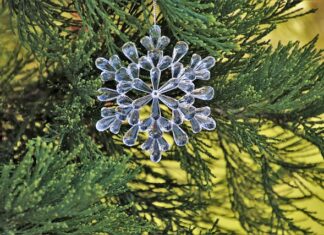 Jak tanio ozdobić ścianę?