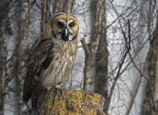 Czy hybryda nadaje się na trasy? Czy hybryda nadaje się na trasy?