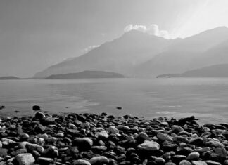 Ile kosztuje mały Ford?