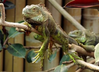 Dlaczego najpierw odpinamy minus?